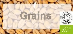 GRAINS ORGANIC